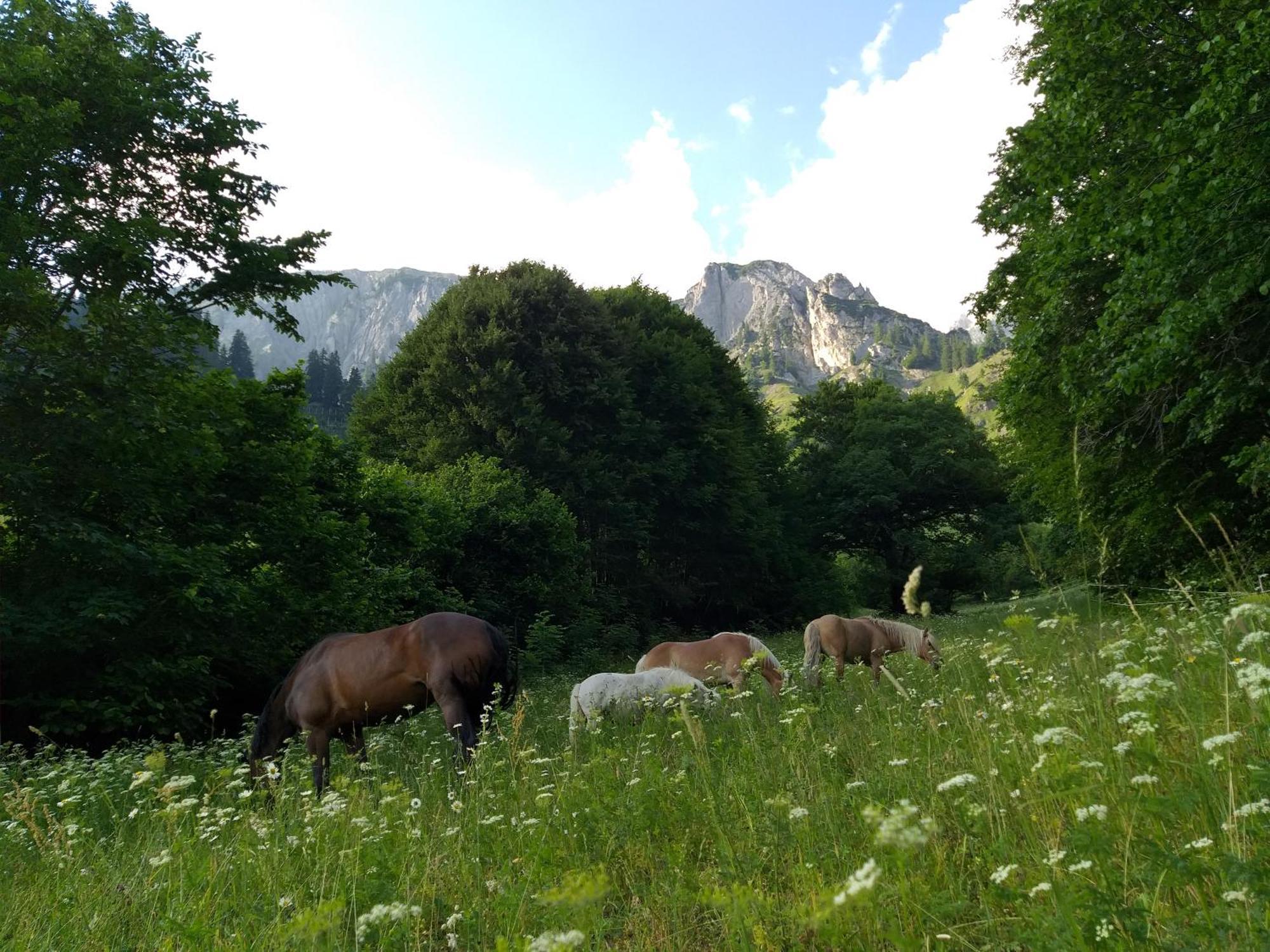 Landhaus Juritsch Kloesterle am Arlberg Εξωτερικό φωτογραφία